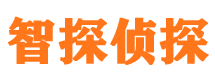 平顶山市婚外情调查